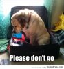 Funny-Animal-Pictures-43.jpg