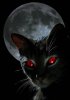 black-cat-red-eyes-wallpaper-background.jpg
