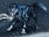 Anime-wolfs-anime-wolves-7226583-900-678.jpg