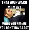most funny cat meme (14).jpg