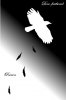 Dove-feathered Raven.jpg