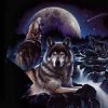 Night-Wolves.jpg