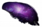 FEATHER transparent.png
