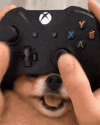 game-dog-game-controller.gif