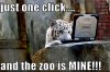 tiger-funny-animal-humor-20319007-1026-683.jpg