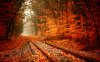 railway-autumn.jpg