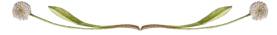 a946ec5f31e1bc26522fcb28a31dcee6.png