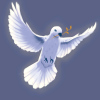 1740573973856.png