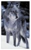 78021Timber-Wolf-Posters.jpg