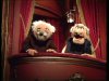 muppet-show5.jpg