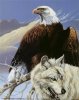 ampel-gary-eagle-and-wolf.jpg