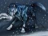 name-silver-race-wolf-dog-age-14-anime-pictures-s-p-tattoodonkey.com.jpg