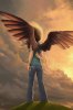640x960_5900_Faery_2d_fantasy_girl_wings_sky_sunset_fairy_dramatic_picture_image_digital_art.jpg