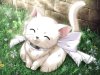 anime_kitty.jpg
