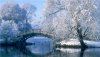 winter-bridge.jpg