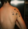 itattooz-birds-pic-tattoo-on-right-shoulder-blade.jpg