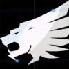 Lion head emblem.jpg