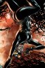 Catwoman-4.jpg