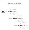 Suzuran Hierarchy.png