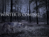 winter_is_coming__by_royal_strider-d48ye7q.png