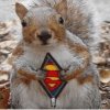 Super Squirrel.jpg
