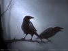 ravens-wallpaper.jpg