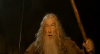 Gandalf-You-Shall-Not-Pass-Ian-McKellen.png