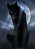 blackwolf.jpg