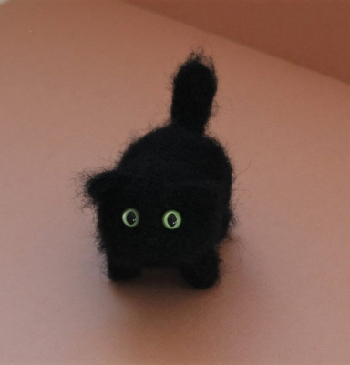 grumpy black cat